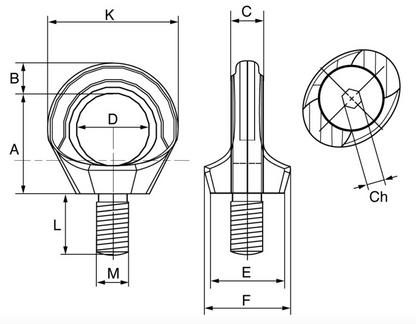 Cartec Grade 6 Stainless Steel AISI 316L Rotating Eyebolt