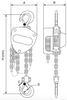 GT Viper Chain Block 1,000kg Capacity